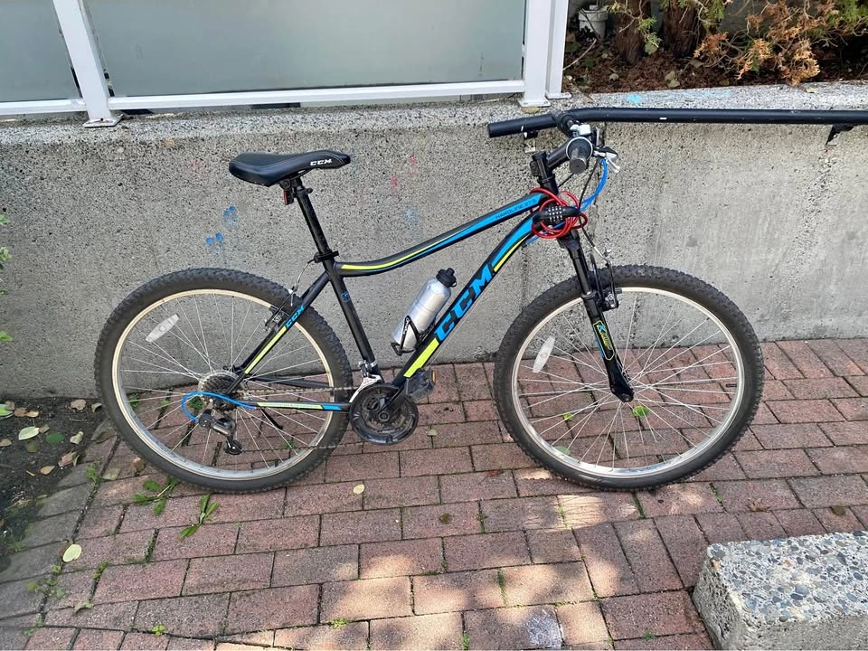 Large Adult Bike CCM