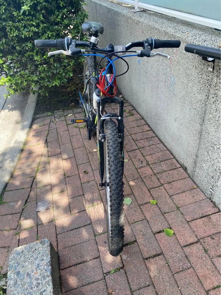 Large Adult Bike CCM - photo 2