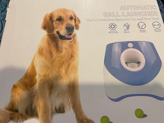 Automatic ball launcher