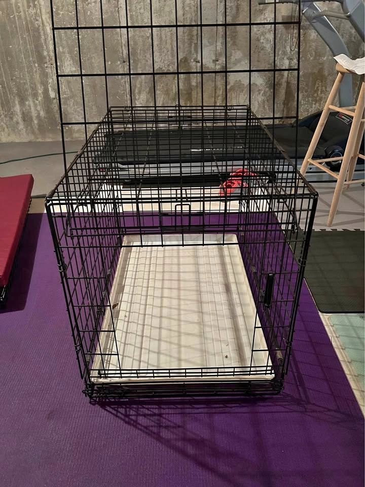 Large Foldable Dog Crate
