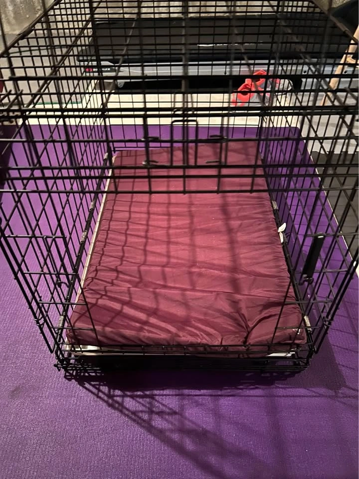 Large Foldable Dog Crate - photo 3
