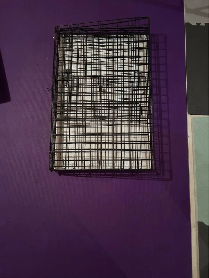 Large Foldable Dog Crate - photo 4