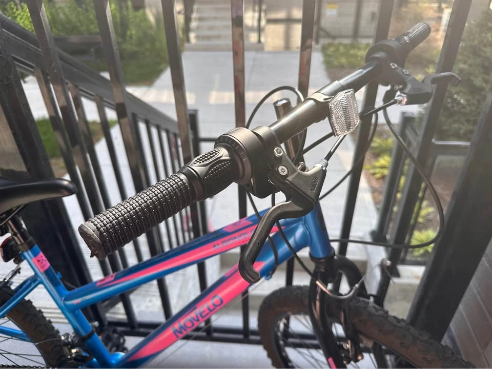 Movelo Algonquin 24” Mountain Bike - Needs Minor Repair - photo 2
