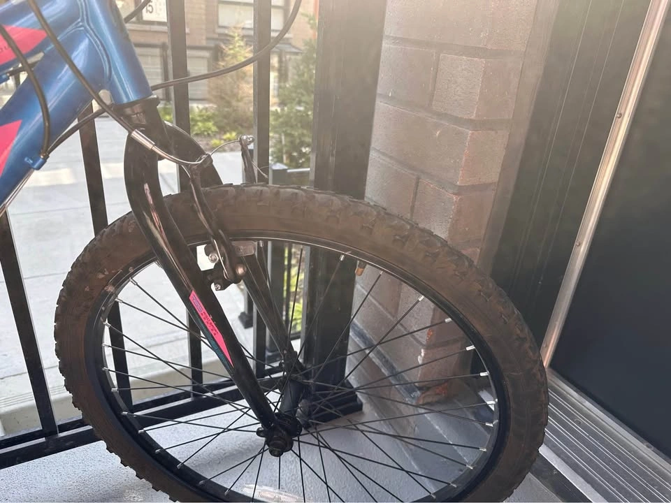 Movelo Algonquin 24” Mountain Bike - Needs Minor Repair - photo 3