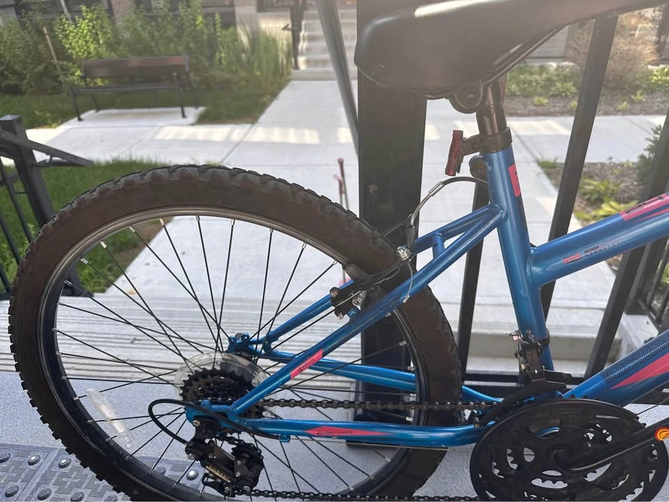 Movelo Algonquin 24” Mountain Bike - Needs Minor Repair - photo 5