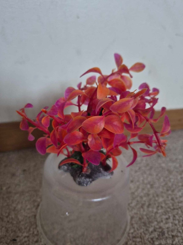 Artificial Plant (plastic) - photo 2