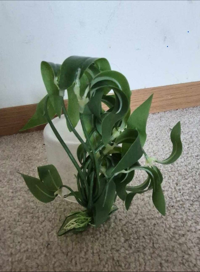 Aquarium Plant (plastic) - photo 2