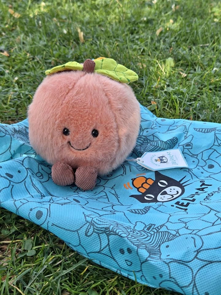 Brand new with tags (BNWT) Jellycat Amuseables Peach