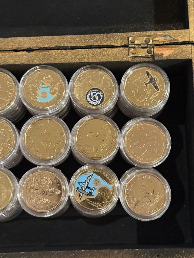 Royal Canadian Mint Loonie Collection - photo 3