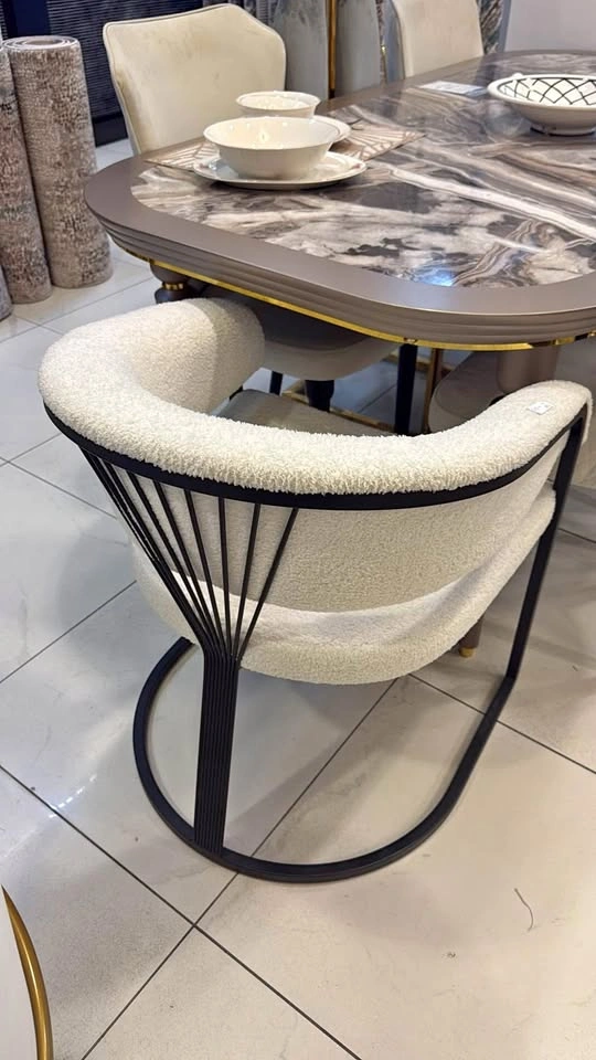 Brand new beautiful dining chair