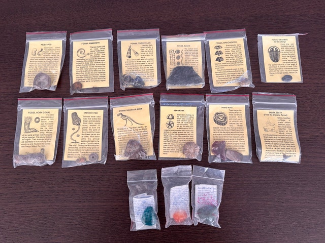 15 Piece Fossil Sample Set