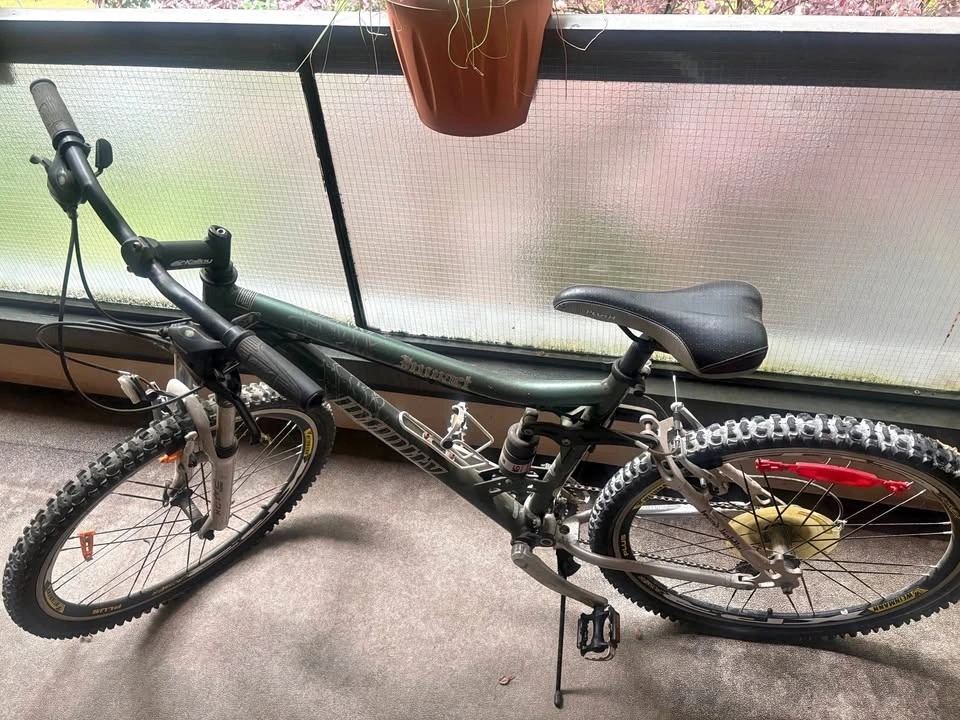 Women Mountain Bike