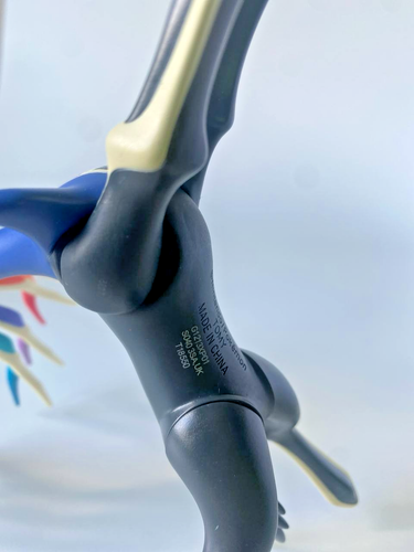 Pokemon Xerneas TOMY Nintendo XY Action Figure Legendary Deer Lo - photo 3