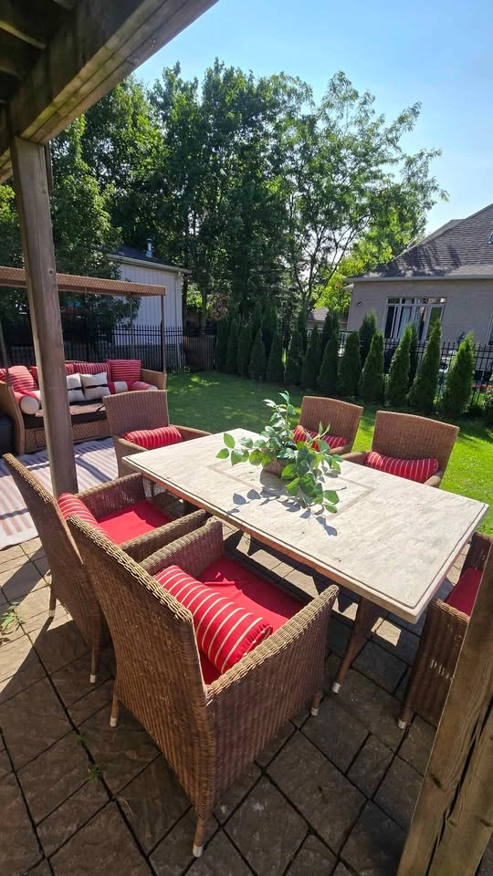 Wicker Patio Dining Set and Daybed