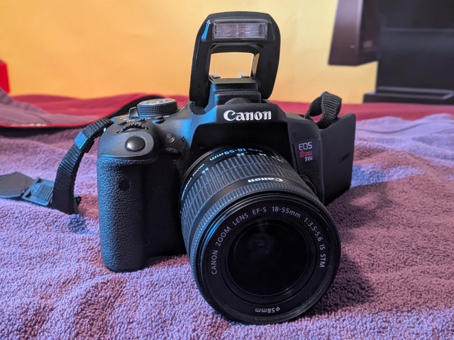 Canon EOS Rebel T6i DSLR Camera with 18-55mm Lens