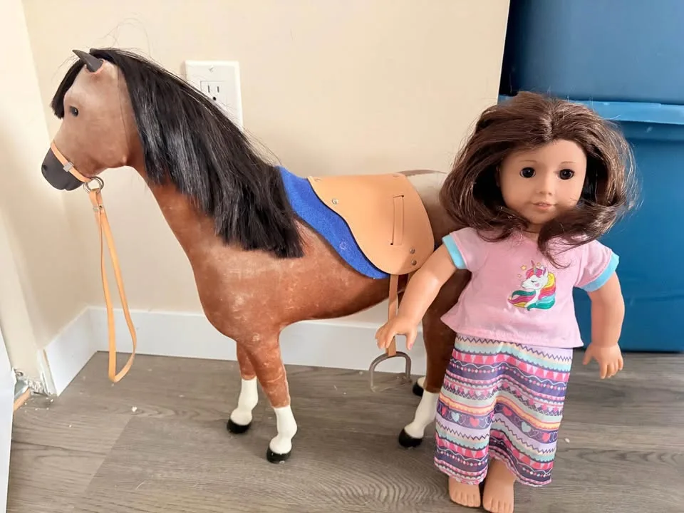 American Girl doll and horse image indicator(2)