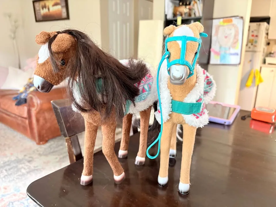 Wellie wisher dolls image indicator(4)