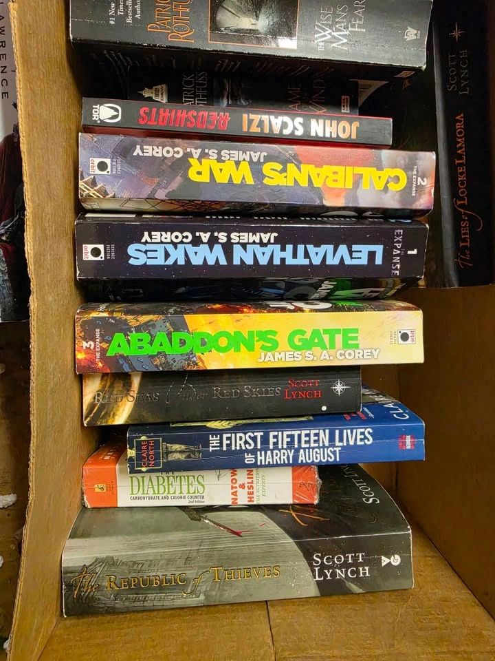 $10 for All! BULK BOOK LOT: Expanse, Rothfuss, Lynch & More - photo 2