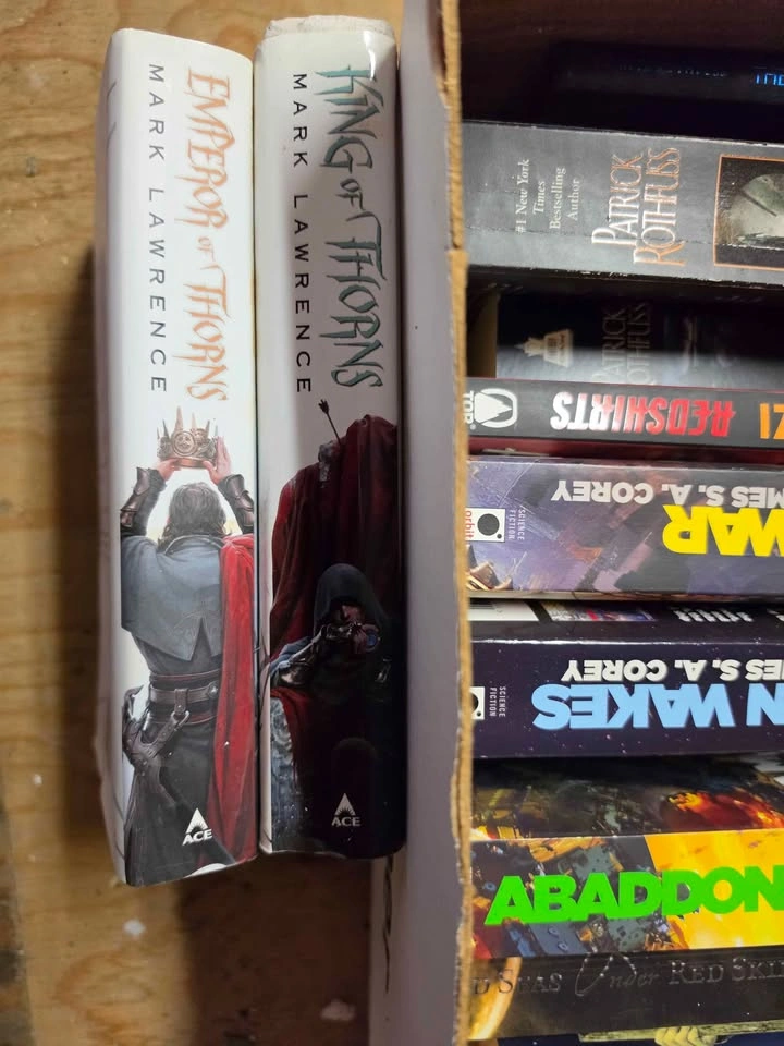 $10 for All! BULK BOOK LOT: Expanse, Rothfuss, Lynch & More - photo 4