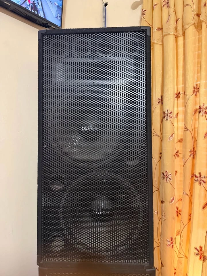 Pair of Large Professional PA DJ Speakers - photo 2