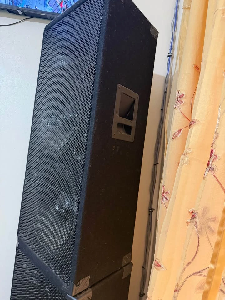 Pair of Large Professional PA DJ Speakers - photo 4
