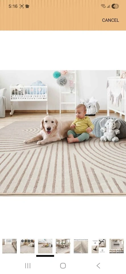 8x10 Boho pattern area rug Sealed package - photo 4