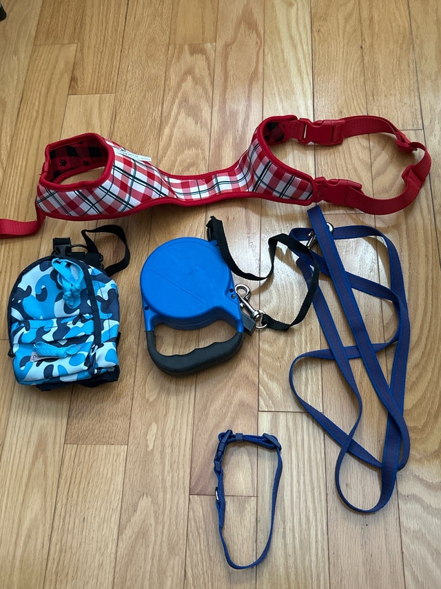 Dog Leashes and Harness