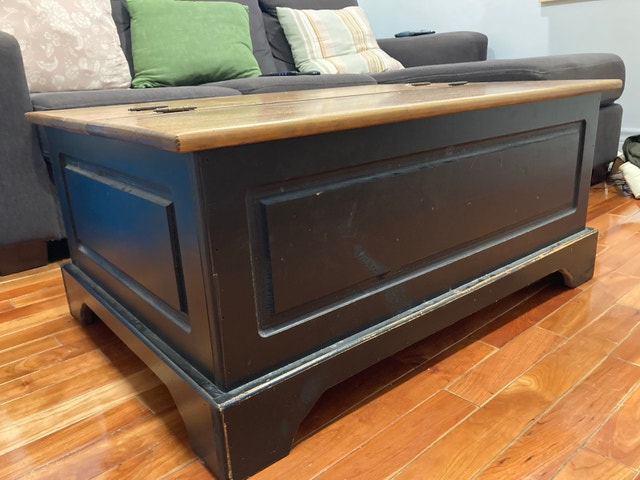 Coffee table storage trunk