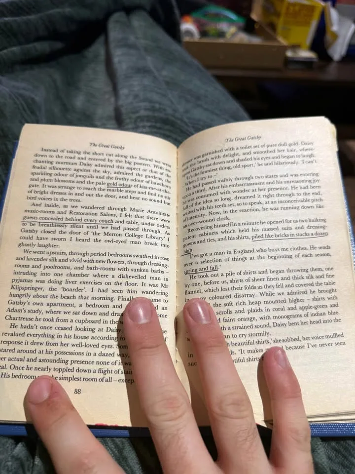 Vintage great gatsby book 1950 image indicator(6)