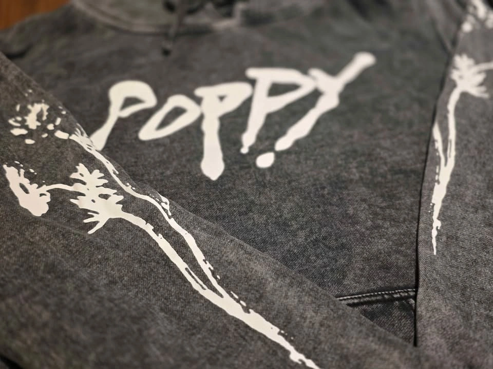 RARE Poppy 2021 Tour Hoodie - Size L - photo 3