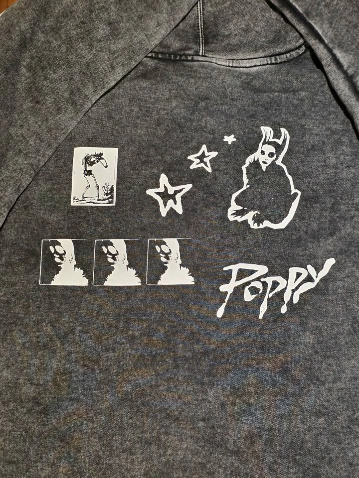 RARE Poppy 2021 Tour Hoodie - Size L - photo 4