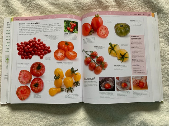NEW Cookbook - Cooking Season by Season - photo 3