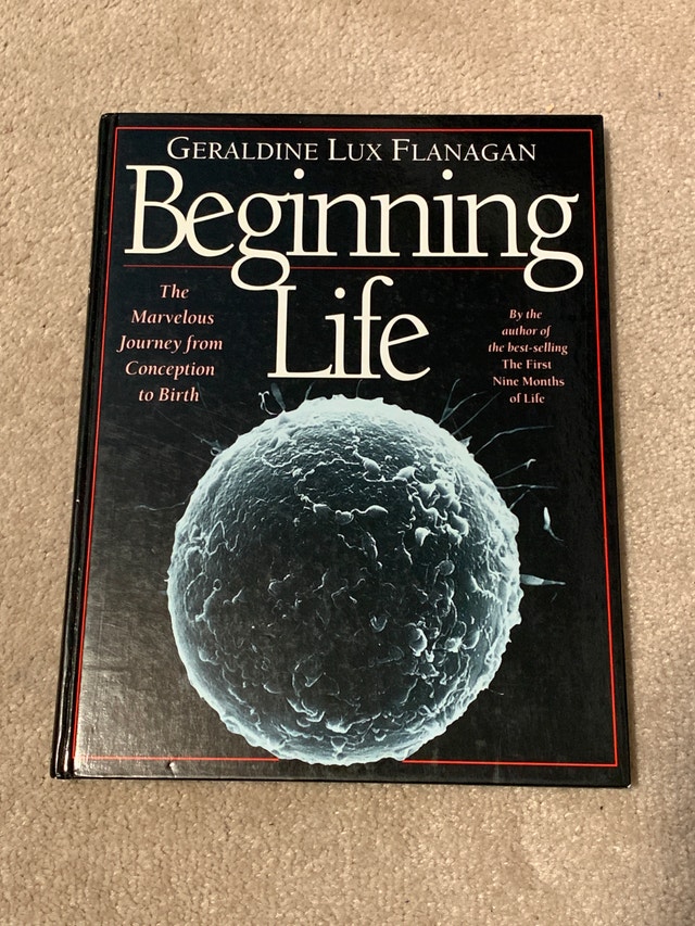 Book-Beginning Life Marvelous Journey from Conception to Birth