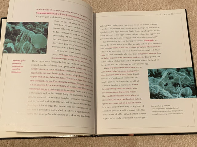 Book-Beginning Life Marvelous Journey from Conception to Birth - photo 3