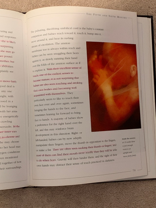 Book-Beginning Life Marvelous Journey from Conception to Birth - photo 4