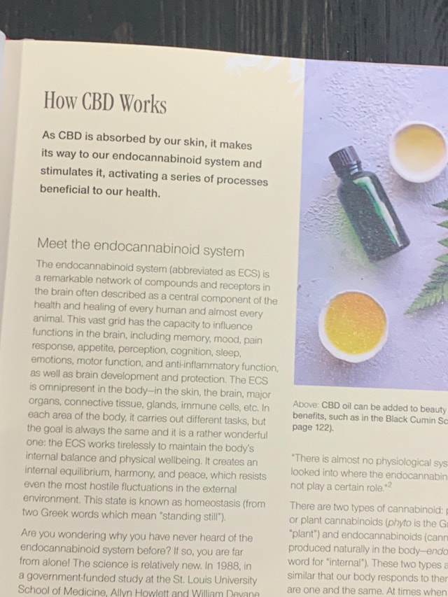 NEW The CBD Beauty Book - photo 4