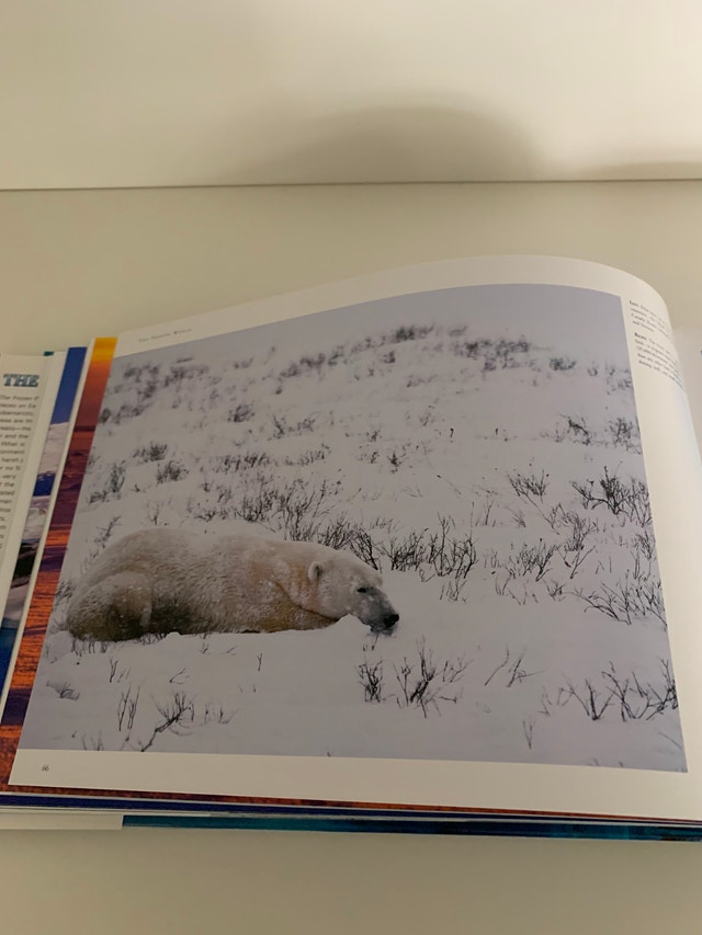 NEW Book - The Frozen World - photo 3