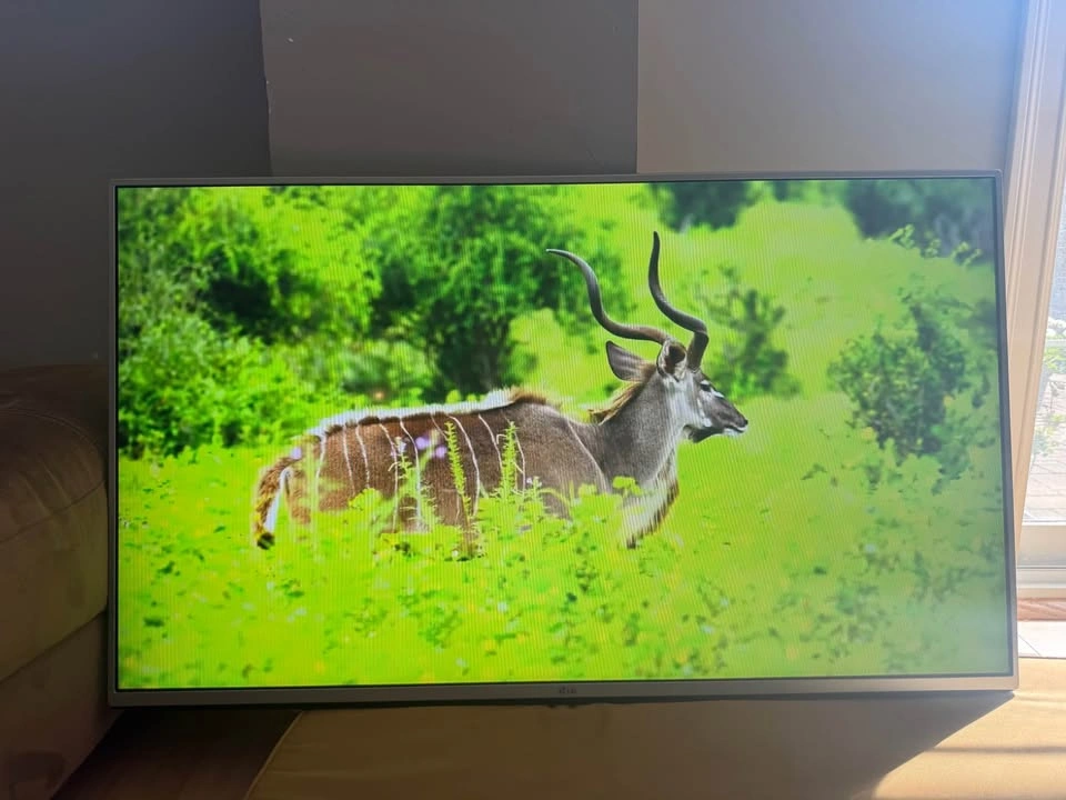 LG 49” Smart LED TV + VIVO Rolling TV Stand - photo 3