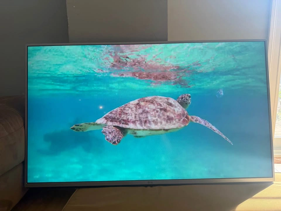 LG 49” Smart LED TV + VIVO Rolling TV Stand - photo 4
