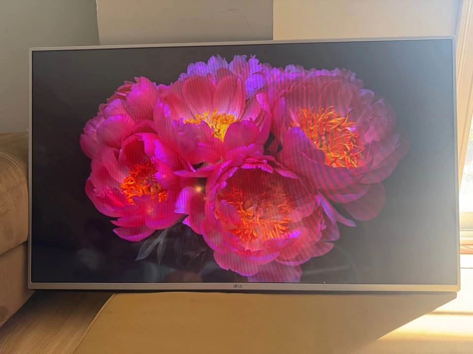 LG 49” Smart LED TV + VIVO Rolling TV Stand - photo 5