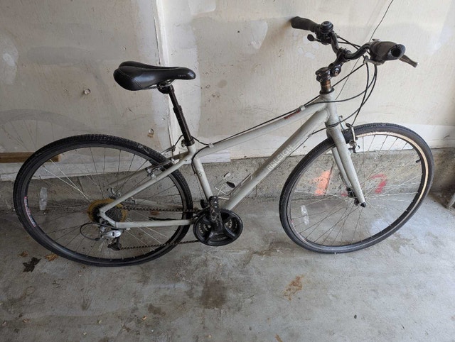 Cheap Raleigh Hybrid Bike – Perfect Daily Runaround