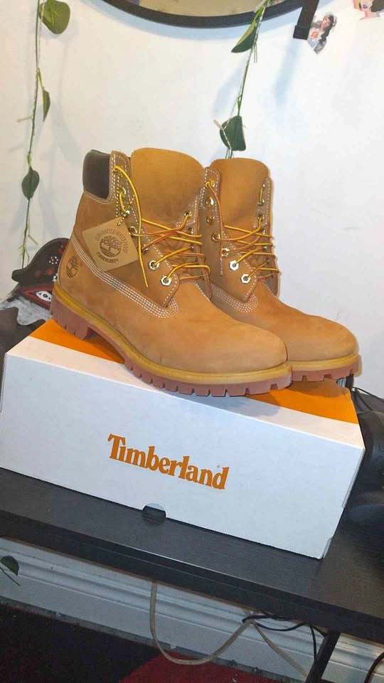 Timbs Premium 6 In Lace Waterproof (Wheat) Size 10.5 M