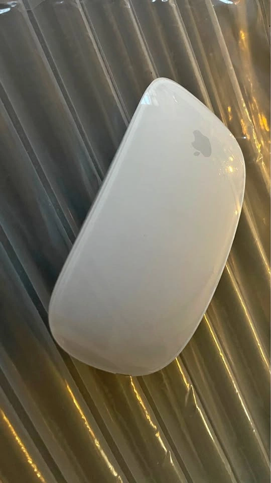 Apple Magic Mouse (1st Generation)
