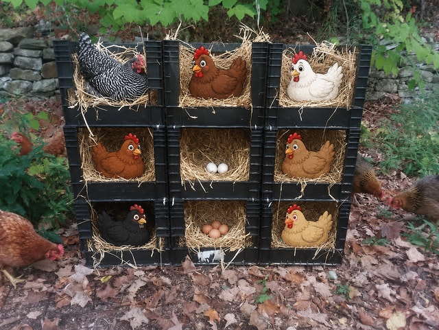 Used Milk Crates (Chickens Not Included)