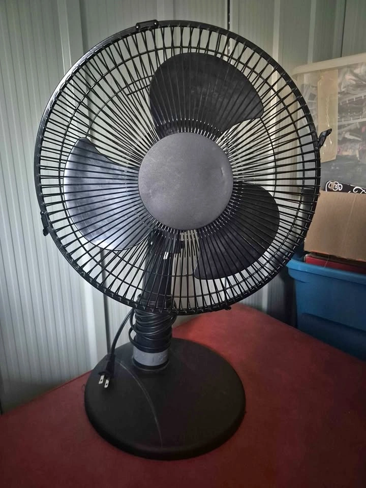 Fan