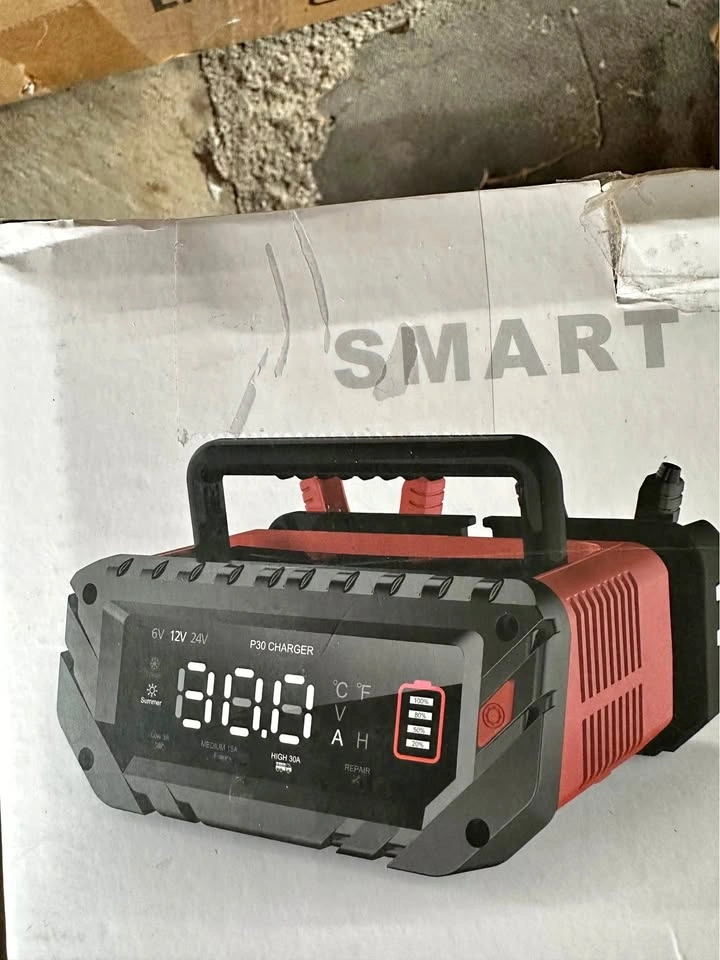 SMART P30 6V 12V 24V Battery Charger