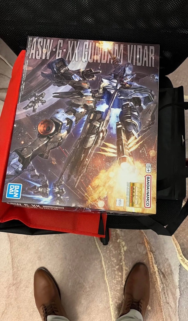 Bandai Master Grade ASW-G-XX Gundam Vidar