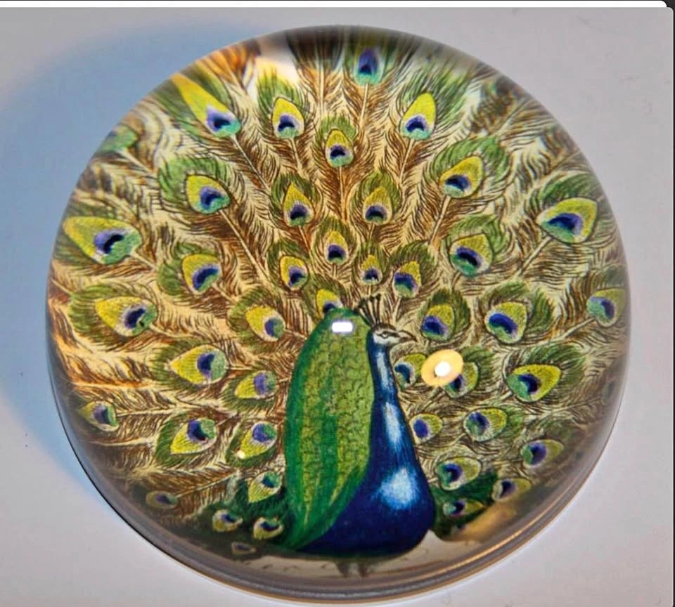 JOHN DERIAN FOR GUGGENHEIM SIGNED GLASS PEACOCK PAPERWEIGHT