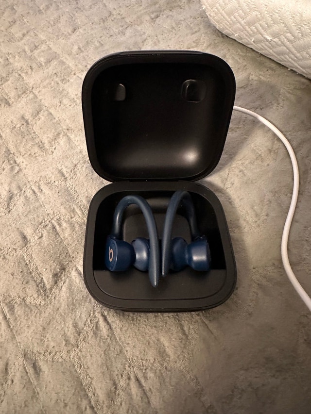 Beats Powerbeats Pro