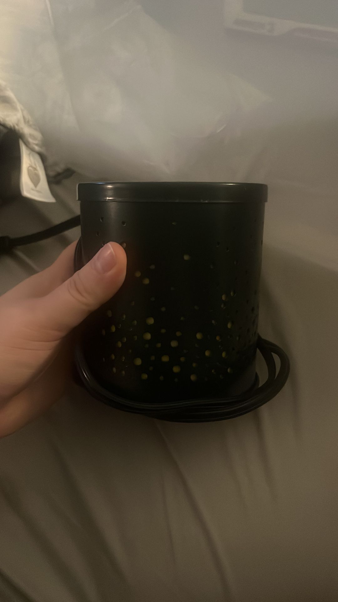 Wax melter